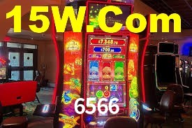 6566